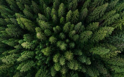 Information des Bundesamtes für Eich- und Vermessungswesen